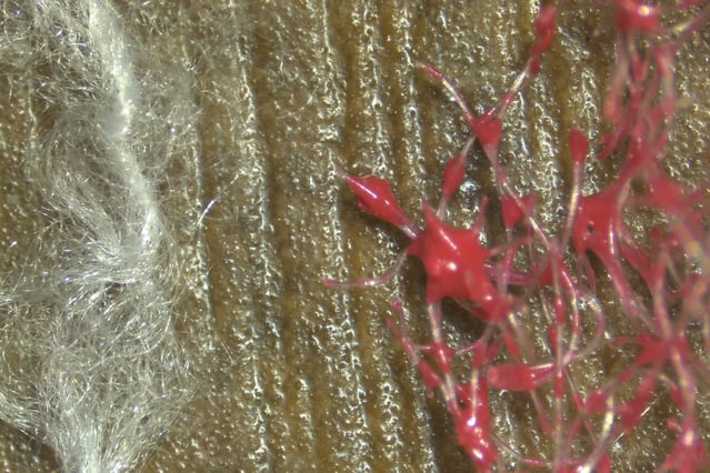 PRO - Traditional pad fiber vs microfiber