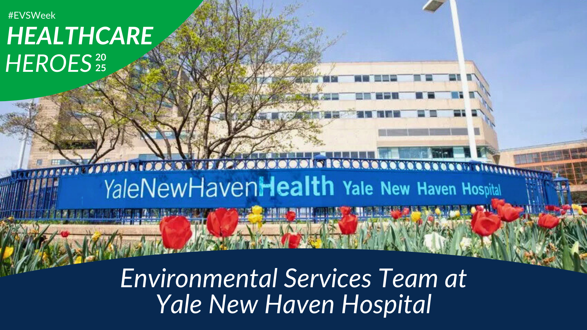 yale new haven_1