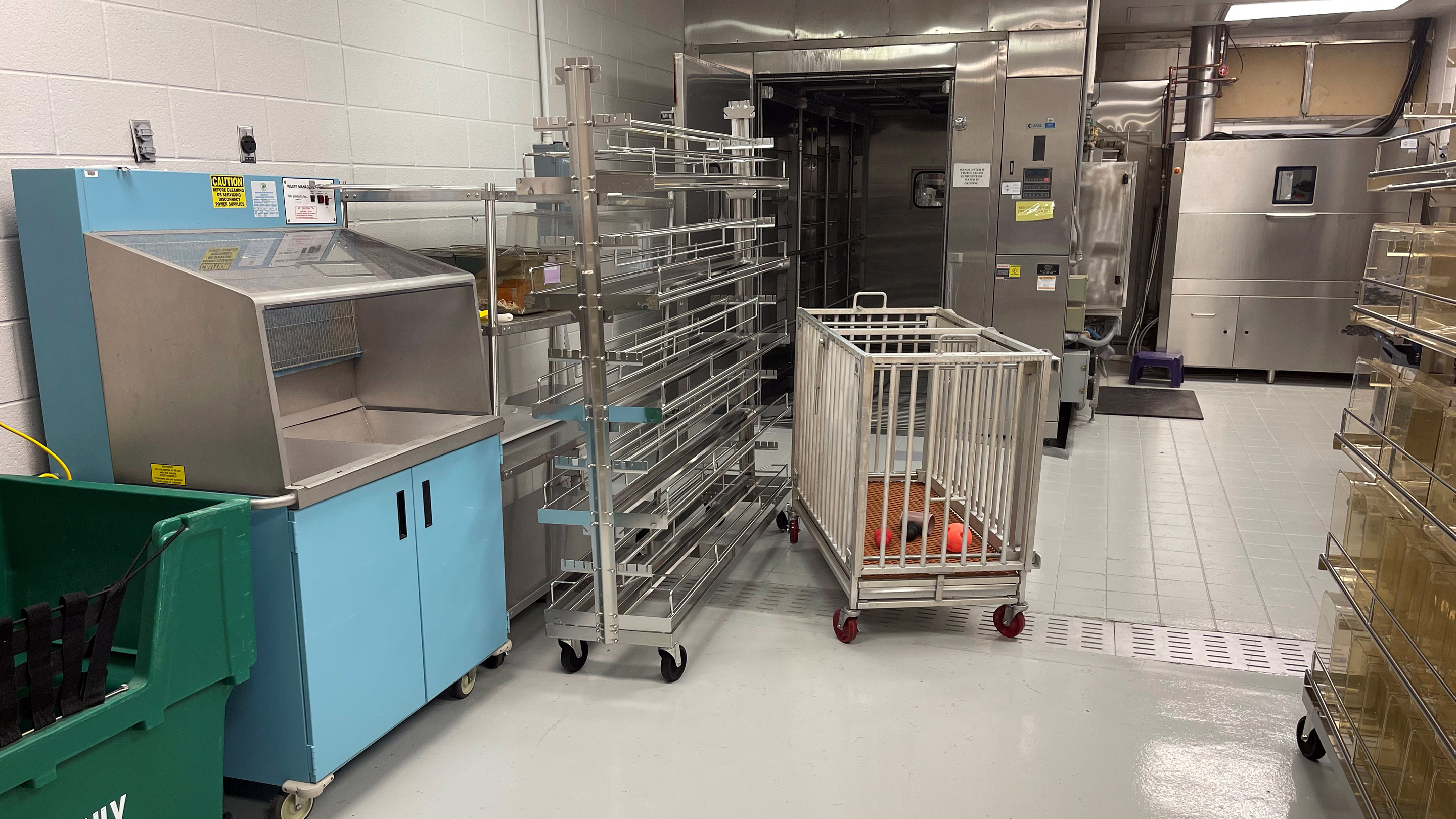 Medical back room with cages