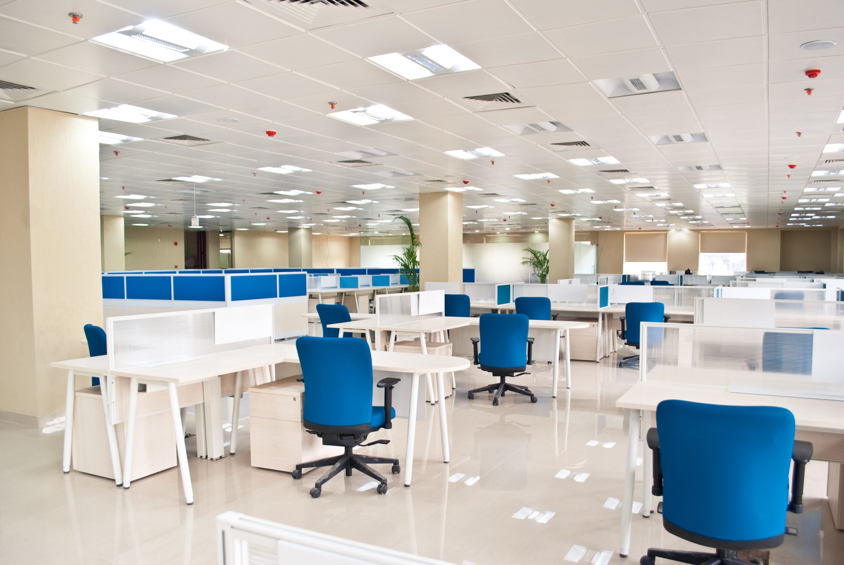 Open office space with white desks and blue chairs